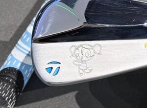 finished golf head