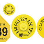 TPU ear tag laser marking