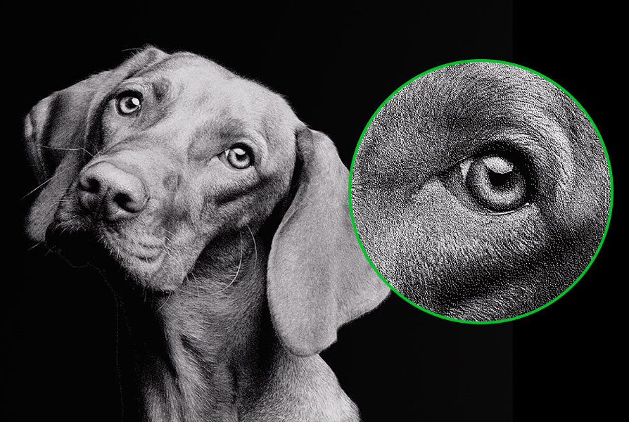 Laser engraving of a dog image showing fine dot density with ComMarker OMNI X UV laser