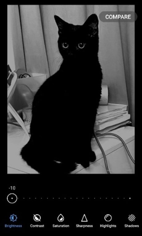 Brightened Image of a cat image-bad example