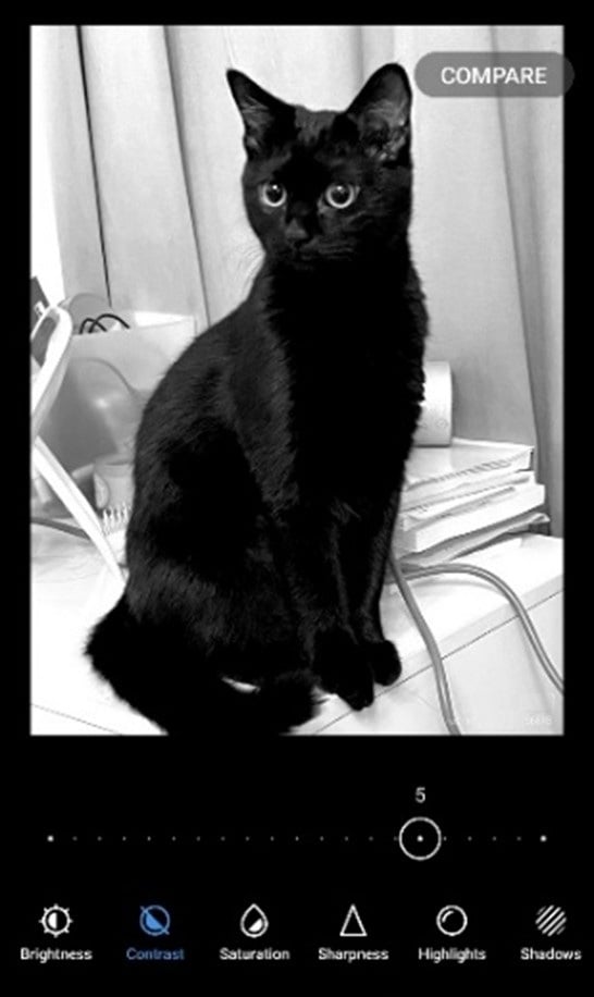 contrast an Image of a black cat-good example