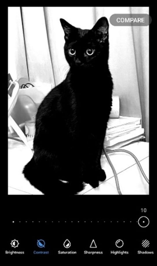 contrast an Image of a black cat-bad example