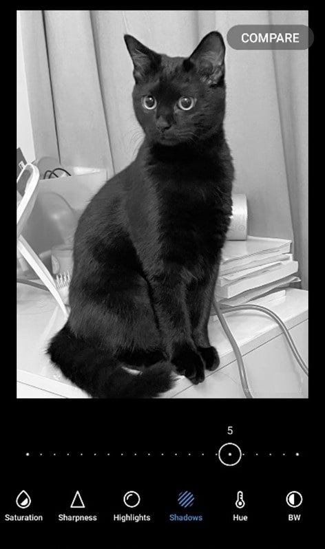 Adjusted image of a black cat-good example