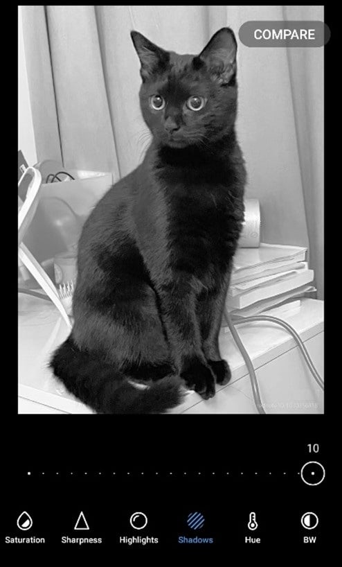 Adjusted image of a black cat-bad example