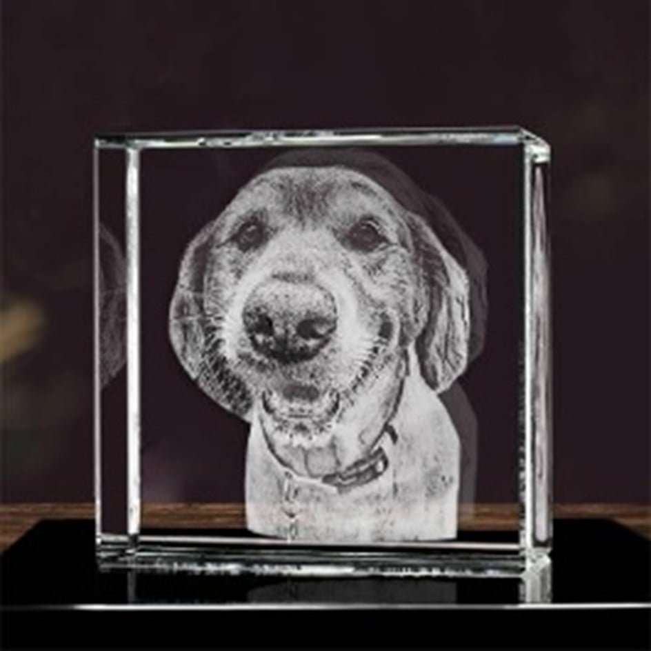 3D glass inner engrave dog