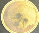 laser engrave photo on gold