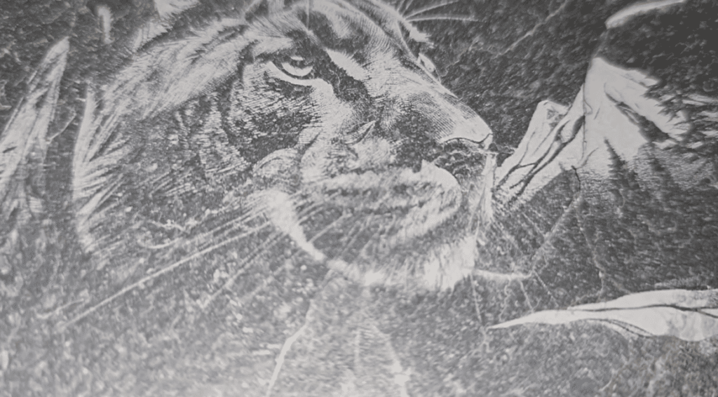 stone laser engrave