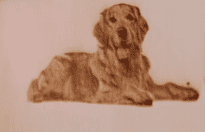 laser engrave pet photo on wood